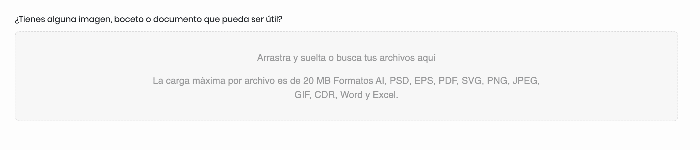 Informe / Carga de archivos